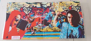 Vinilo Doble Skate Bord 5