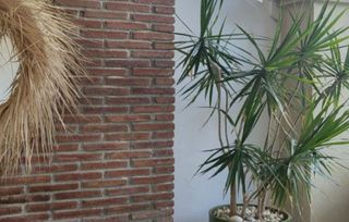 Piso en alquiler en Benahavís