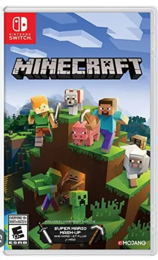 Minecraft Nintendo Switch