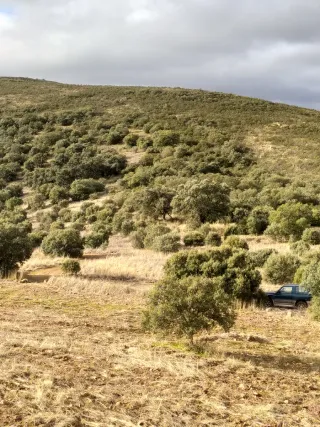 Casa de campo