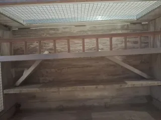 Jaula para roedores grande con accesorios