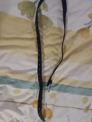 Cinturón negro con hebilla plateada