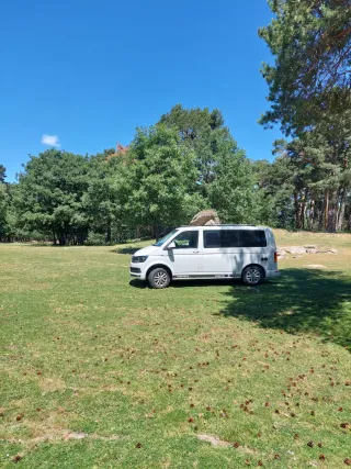 Volkswagen Caravelle 114cv 2019