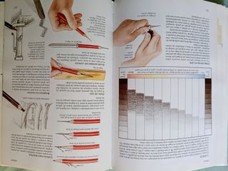 Guía del artista. The Artist's Guide.