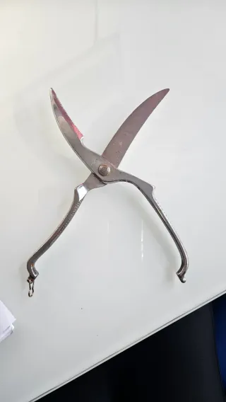 Forbici tranciapollo inox