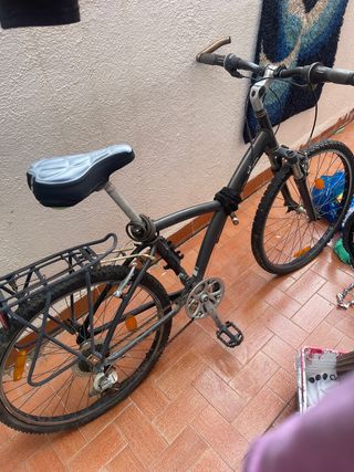 Bicicleta de montaña grande