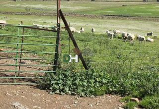 Terreno en venta en Ciudad Monumental en Cáceres