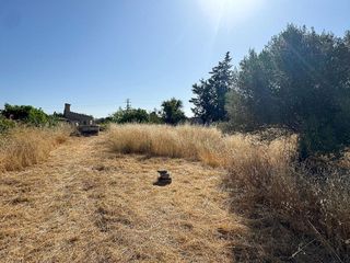 Casa rural en venta en Lloseta