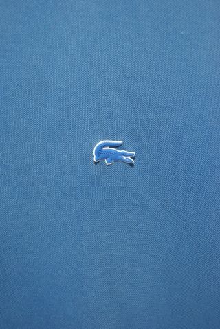 Polo Lacoste Azzurro con Profili Bianchi - Taglia