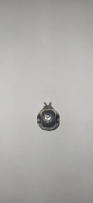 Charm de plata