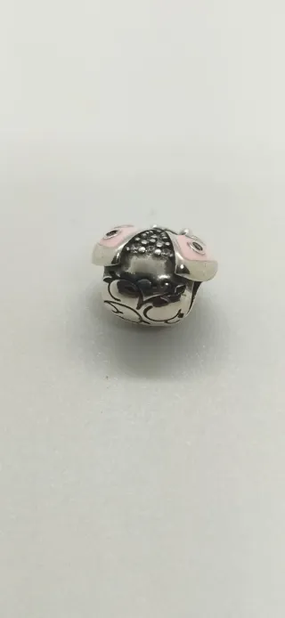 Charm de plata