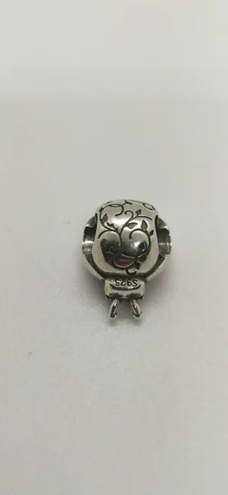 Charm de plata