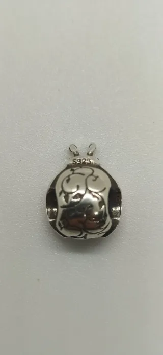 Charm de plata