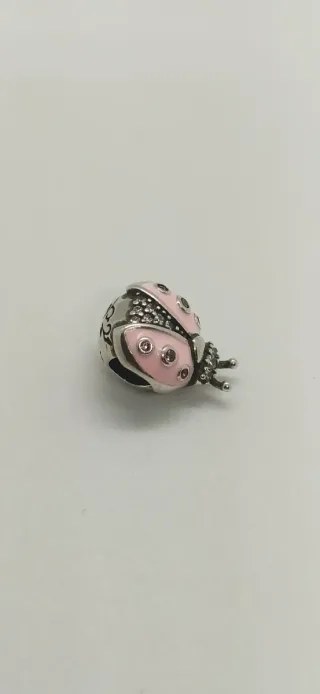 Charm de plata