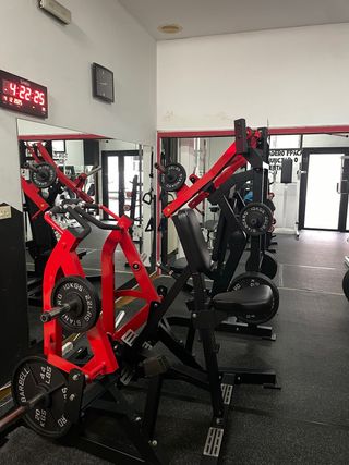 Máquinas de gimnasio - Equipo de entrenamiento