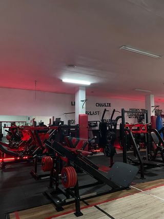Máquinas de gimnasio - Equipo de entrenamiento