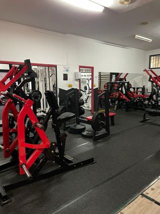 Máquinas de gimnasio - Equipo de entrenamiento