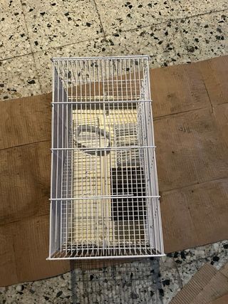 Jaula para hámster con accesorios