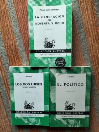 Lote de Ensayo y Pensamiento Español – 17 libros