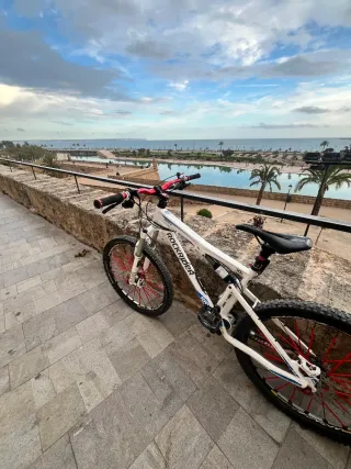 Bicicleta MTB Rockrider Blanca