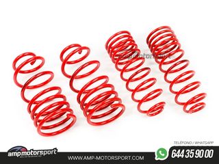 MUELLES DEPORTIVOS MTS TECHNIK MTSXVW313