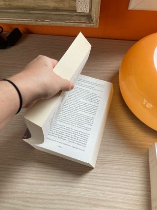 El camino de los reyes (El Archivo de las Torme...