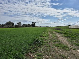 Terreno en venta en Palma del Río