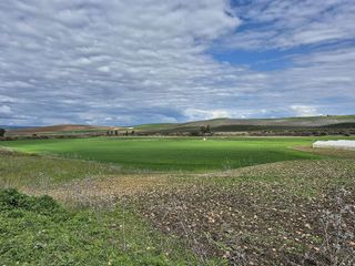 Terreno en venta en Palma del Río