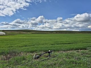 Terreno en venta en Palma del Río