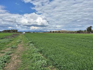 Terreno en venta en Palma del Río