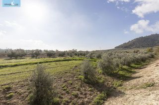 Nave industrial en venta en Peligros