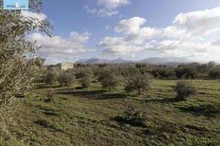 Nave industrial en venta en Peligros