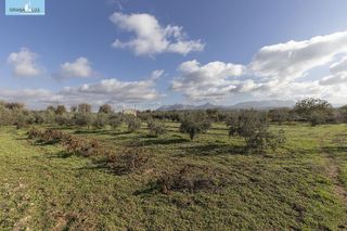 Nave industrial en venta en Peligros