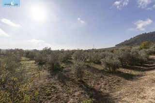 Nave industrial en venta en Peligros