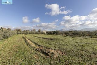 Nave industrial en venta en Peligros