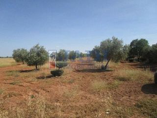 Chalet en venta en Valdepeñas