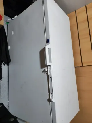 Arcón Congelador Blanco