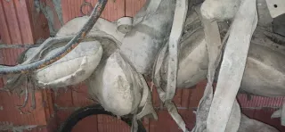 Collares, silla de tiro y aperos para machos