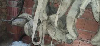 Collares, silla de tiro y aperos para machos