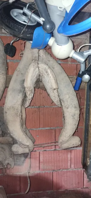 Collares, silla de tiro y aperos para machos