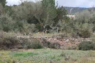 Terreno en venta en Sant Josep en Sant Josep de sa Talaia