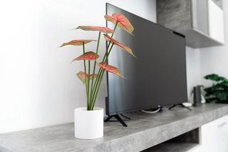 Piso en alquiler en Lluminetes en Castelldefels