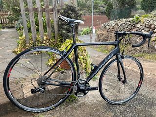 Bicicleta Cannondale Synapse Carbono Talla 54