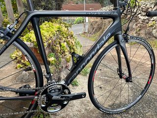 Bicicleta Cannondale Synapse Carbono Talla 54