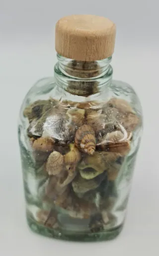 CONJUNTO 2 JARRONES DE CONCHAS Y CARACOLES