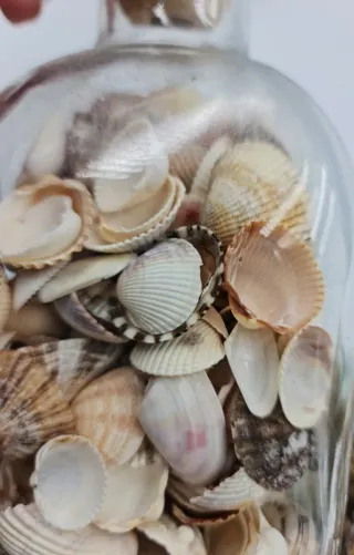 CONJUNTO 2 JARRONES DE CONCHAS Y CARACOLES