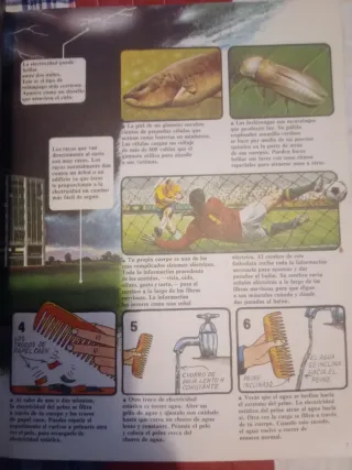 El Joven Científico: El Libro de la Electricidad