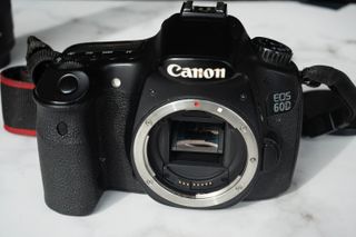 Canon EOS 60D + Lente 50mm f/1.8 II