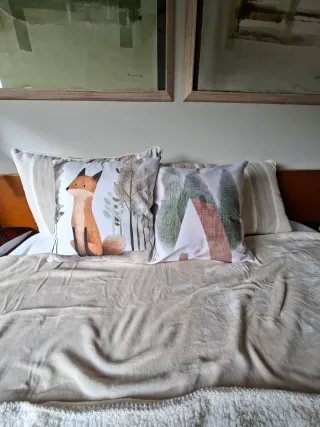 2 Fundas Cojín Infantil Zorro 45x45