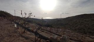 Terreno en venta en Chimiche en Granadilla de Abona